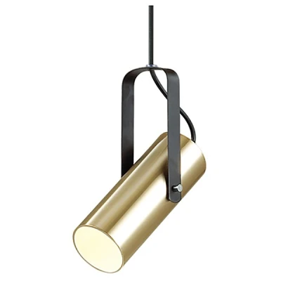 Подвесной светильник Lumion Claire 3714/1 