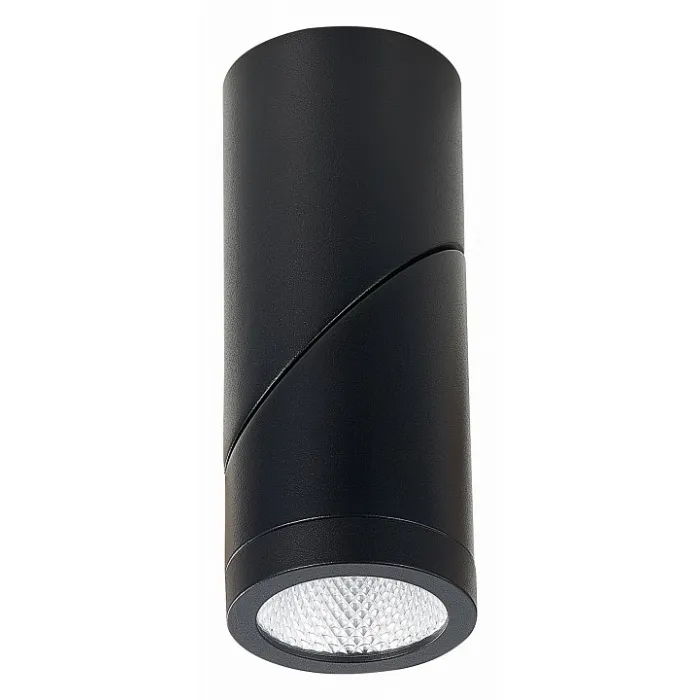 Светильник на штанге ST-Luce ST650 ST650.442.10 от ImperiumLoft
