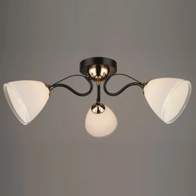 Потолочная люстра Hiper Cleo H210-3 