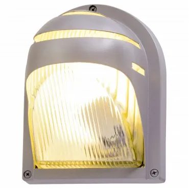 Накладной светильник Arte Lamp Urban A2802AL-1GY Цвет арматуры серый Цвет плафонов прозрачный