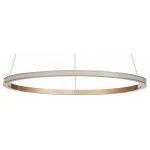 Подвесная люстра ST-Luce ST604 OUT ST604.243.22 