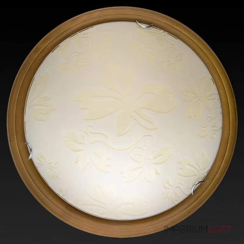 Потолочный светильник TopLight Jane TL9640Y-00OA Потолочный светильник TopLight Jane TL9640Y-00OA