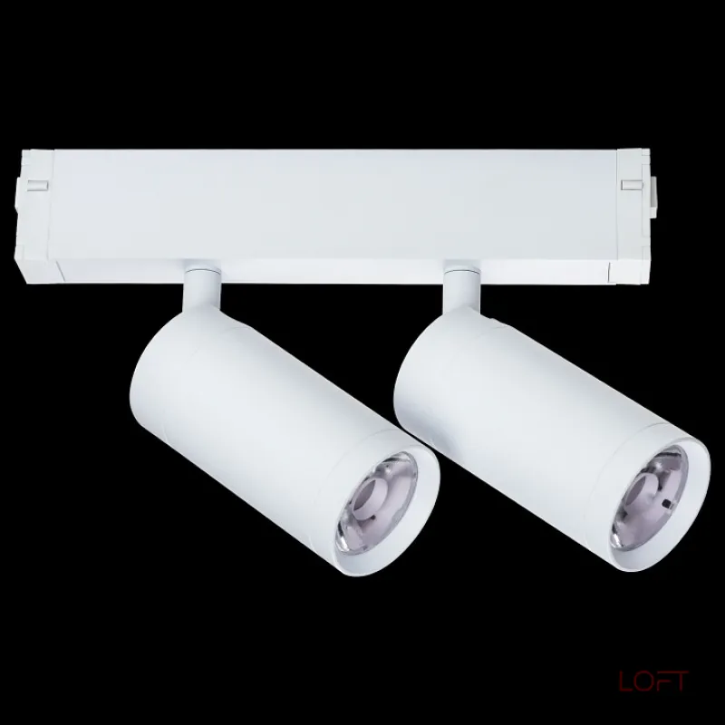 Светильник на штанге Lightstar Teta 205506