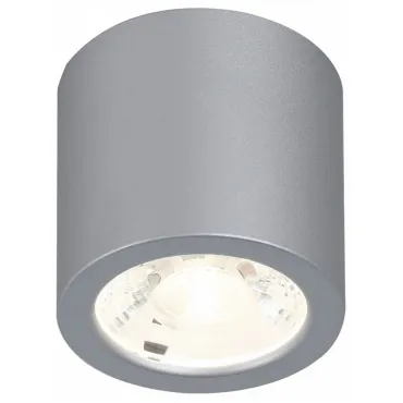 Накладной светильник Favourite Deorsum 2808-1C Цвет арматуры серебро Цвет плафонов серебро