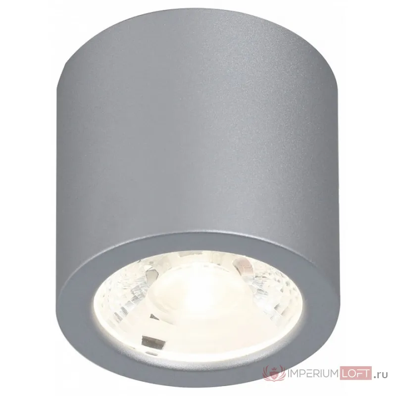 Накладной светильник Favourite Deorsum 2808-1C Цвет арматуры серебро Цвет плафонов серебро от ImperiumLoft