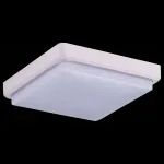 Потолочный светильник EVOLUCE Taddio SLE200212-01 