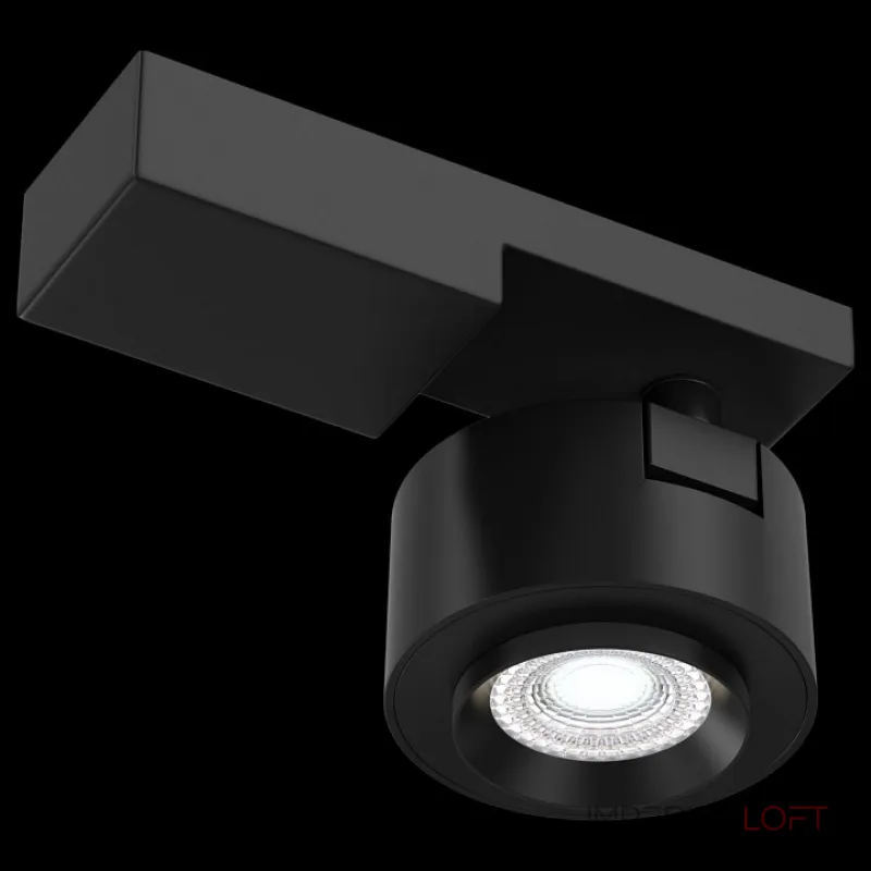 Светильник на штанге Maytoni Treo C062CL-L12B4K Цвет арматуры черный Цвет плафонов черный