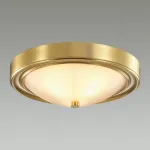 Накладной светильник Lumion Nina 5259/2C от ImperiumLoft