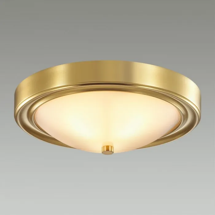 Накладной светильник Lumion Nina 5259/2C от ImperiumLoft