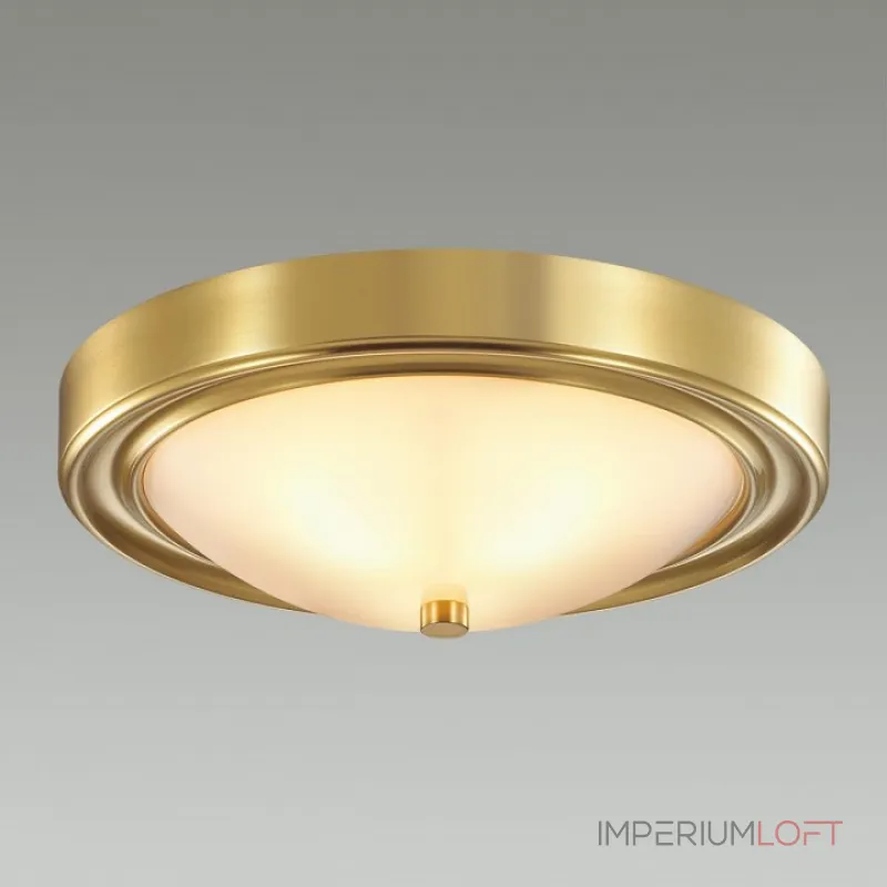 Накладной светильник Lumion Nina 5259/2C Накладной светильник Lumion Nina 5259/2C