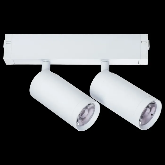 Светильник на штанге Lightstar Teta 205506 от ImperiumLoft