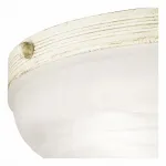 Потолочный светильник Arte Lamp Atlas neo A8777PL-3WG