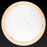 Потолочный светильник TopLight Debora TL9540Y-00PN 