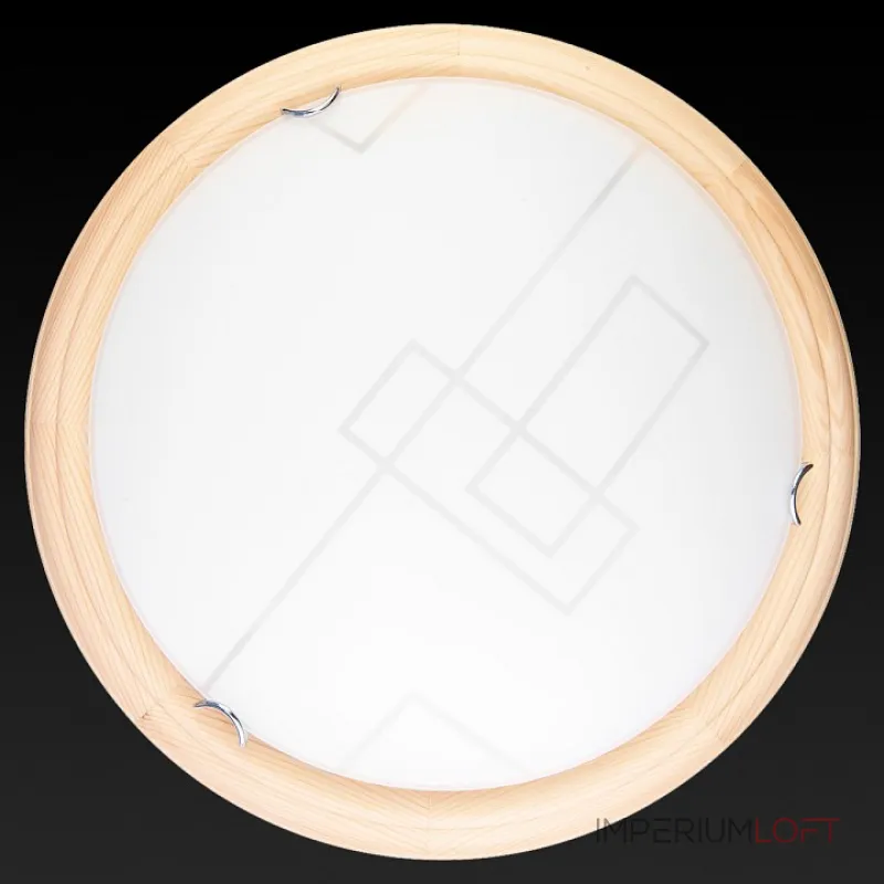 Потолочный светильник TopLight Debora TL9540Y-00PN 