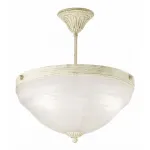 Потолочный светильник Arte Lamp Atlas neo A8777PL-3WG