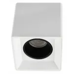 Накладной светильник Denkirs DK3030 DK3080-WH+BK от ImperiumLoft