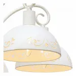 Подвесная люстра Arte Lamp Rittore A2060LM-5WG 
