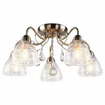 Потолочная люстра Arte Lamp A1658PL-5AB 