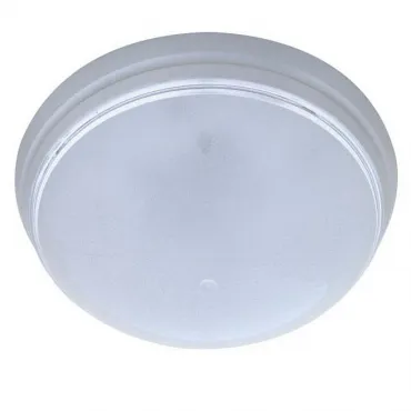 Накладной светильник Horoz Electric HRZ00001452 Цвет арматуры серебро
