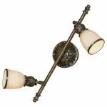 Спот Lussole Furlo LSL-7301-02 Цвет арматуры бронза