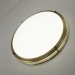 Накладной светильник Citilux Бостон CL709503N