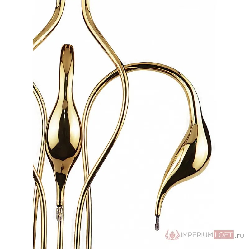 Бра Lightstar Cigno Collo 751652 Цвет арматуры золото от ImperiumLoft