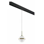 Подвесной светильник Lightstar Globo PRO813111