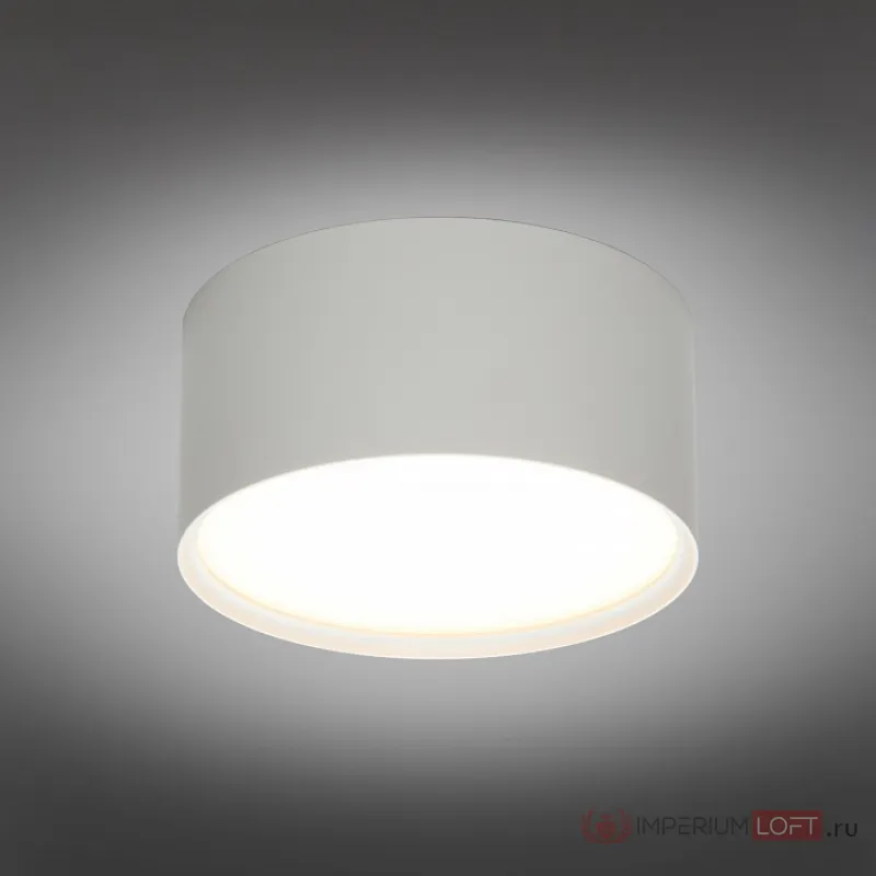 Накладной светильник Omnilux Abano OML-103309-12 от ImperiumLoft