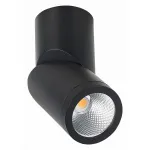 Светильник на штанге ST-Luce ST650 ST650.442.10 от ImperiumLoft