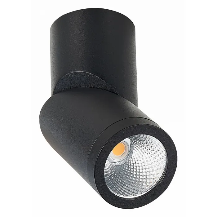 Светильник на штанге ST-Luce ST650 ST650.442.10 от ImperiumLoft