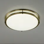 Накладной светильник Citilux Бостон CL709503N