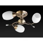 Потолочная люстра TopLight Alana TL3580X-03AB 