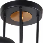 Потолочная люстра Rivoli Evlia Б0044494 