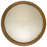 Потолочный светильник TopLight Jane TL9640Y-00OA 