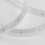 Лента светодиодная  Elektrostandard LS014 220V LS014 220V