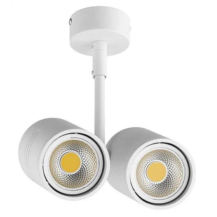 Светильник на штанге Lightstar Rullo 214446 от ImperiumLoft