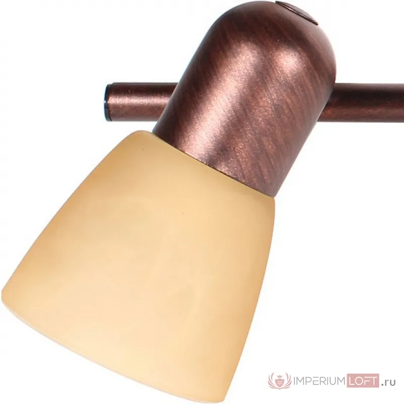 Спот TopLight Maxine TL1235Y-02AB Цвет арматуры бронза Цвет плафонов белый от ImperiumLoft