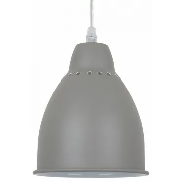 Подвесной светильник Arte Lamp Braccio A2054SP-1GY Цвет арматуры серый Цвет плафонов серый от ImperiumLoft