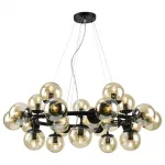 Подвесная люстра Arte Lamp 1664 A1664SP-25BK 