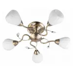 Потолочная люстра TopLight Lorin TL3570X-05AB 