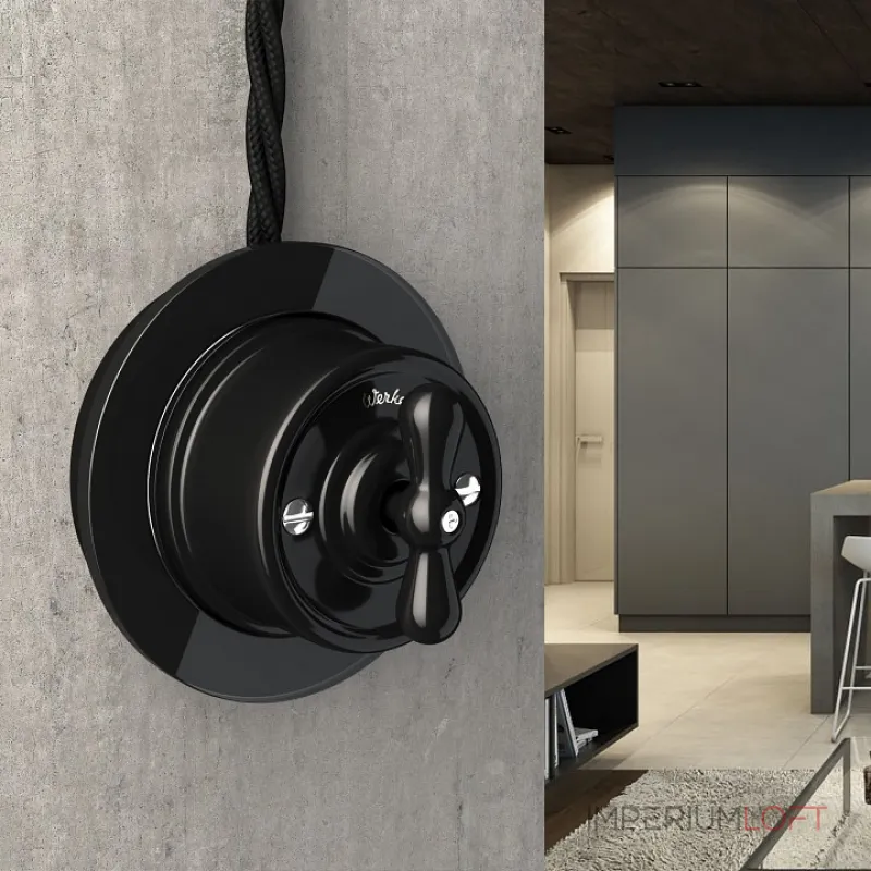 Выключатель одноклавишный Werkel W56 W5612008