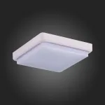Потолочный светильник EVOLUCE Taddio SLE200212-01 