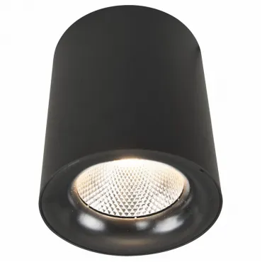 Накладной светильник Arte Lamp 5118 A5118PL-1BK Цвет арматуры черный Цвет плафонов черный