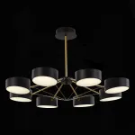 Люстра на штанге EVOLUCE Valle SLE6005-402-08 от ImperiumLoft