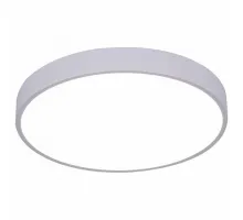 Накладной светильник Arte Lamp Arena A2661PL-1WH