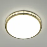 Накладной светильник Citilux Бостон CL709503N