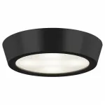 Накладной светильник Lightstar Urbano 214974 Цвет арматуры черный