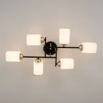 Потолочная люстра Citilux Генри CL130265 