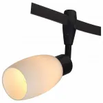 Потолочный светильник Arte Lamp 3059 A3059PL-1BK 