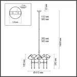 Подвесная люстра Odeon Light Stono 4789/5 Цвет плафонов прозрачный Цвет арматуры золото от ImperiumLoft